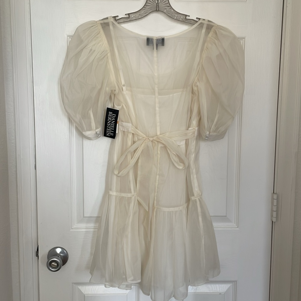 Danielle Bernstein Solid Organza Puff-Sleeve Mini… - image 4